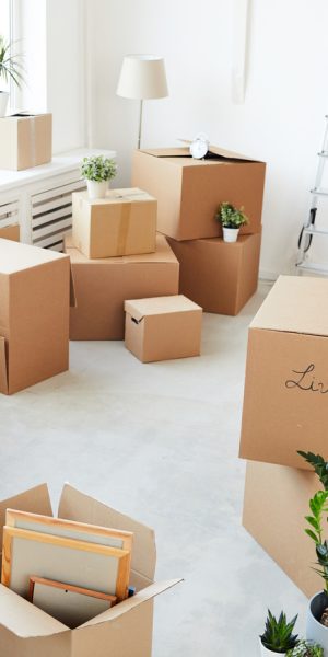 05d5c4692210ded02defab450dea4eba 05d5c4692210ded02defab450dea4eba